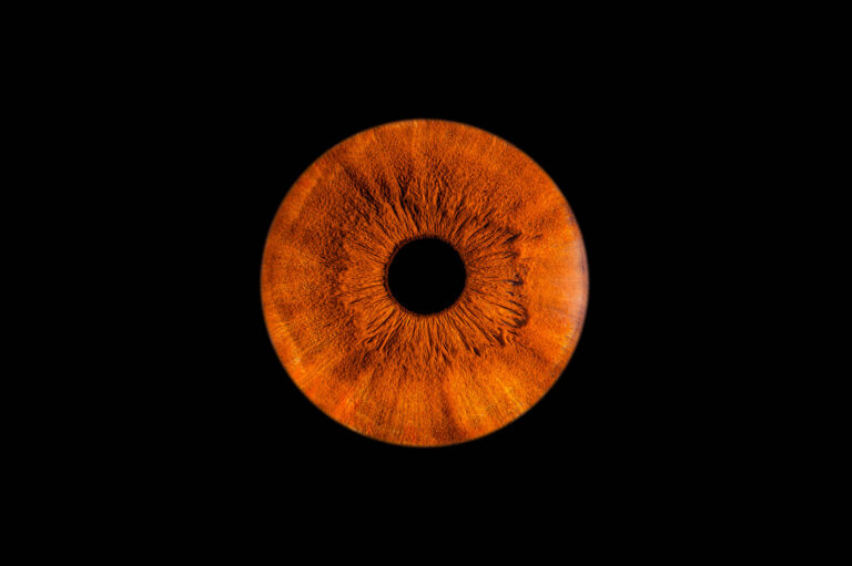 Photo d'un iris marron par photographe bordeaux
