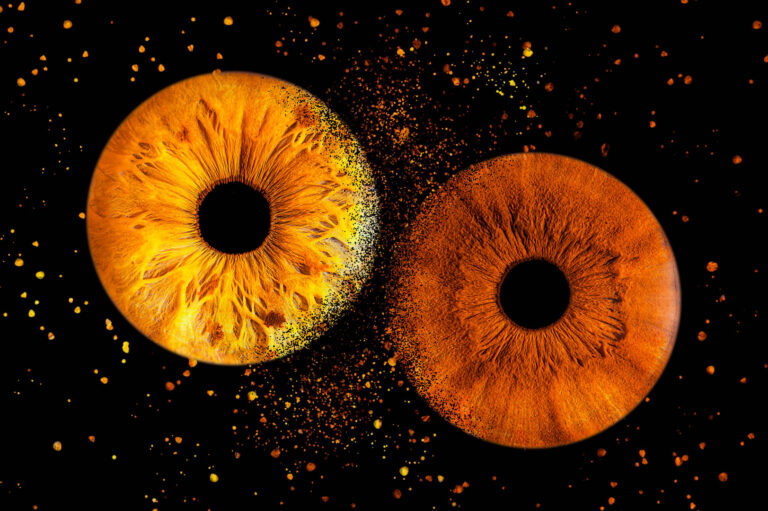 Un iris jaune et un iris marron sur fond noir avec explosion autour par photographe bordeaux