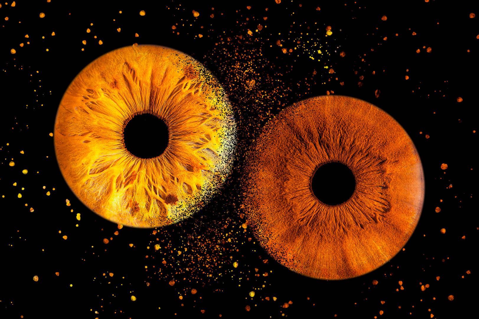 IRIS