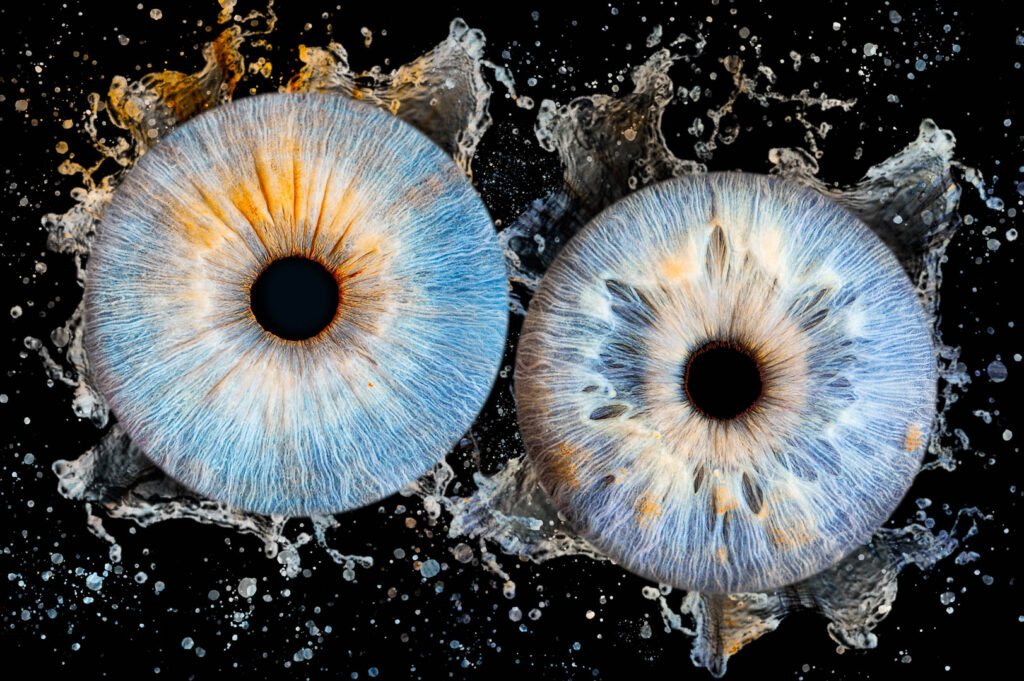 Deux iris bleus avec effet eau autour par photographe bordeaux