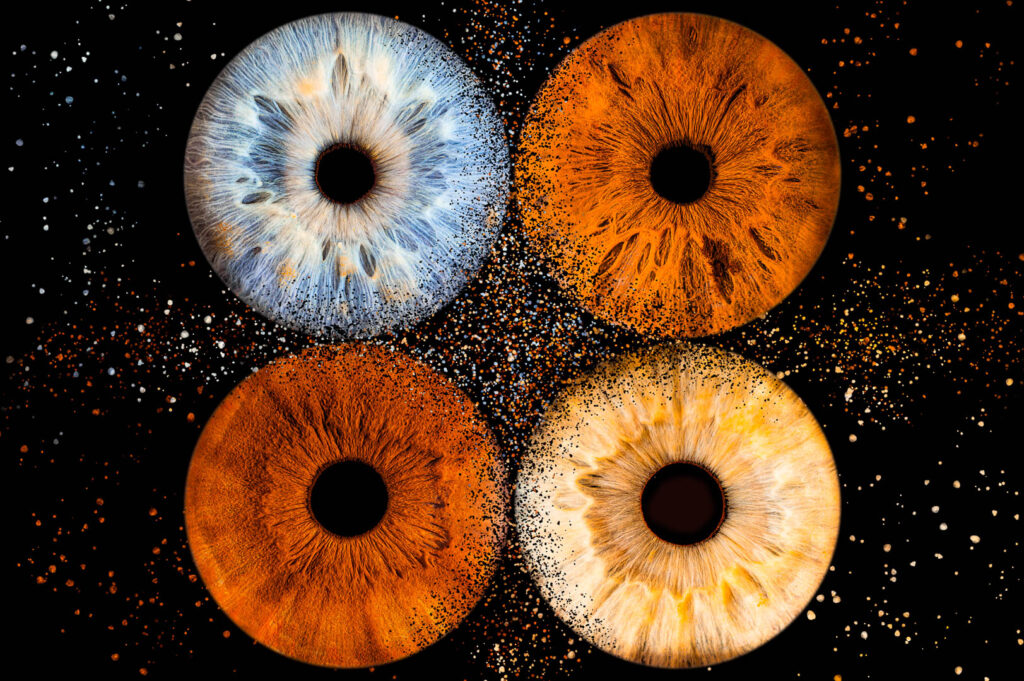 Quatre iris : un bleu, deux marrons et un jaune sur fond noir avec explosions autour par photographe bordeaux