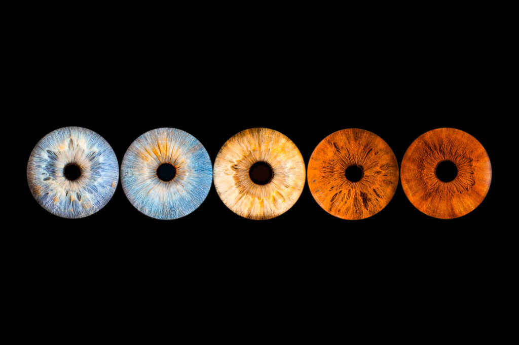 Cinq iris en œuvre d'art par photographe bordeaux