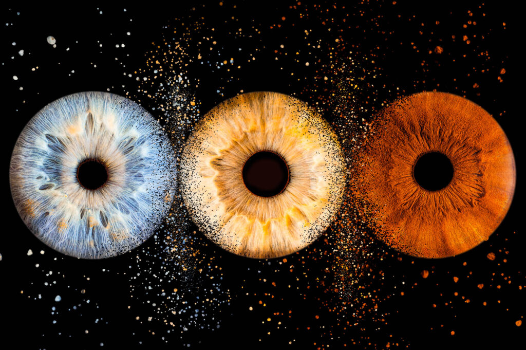 Trois iris, un bleu, un jaune et un marron sur fond noir avec explosions autour par photographe bordeaux